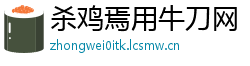杀鸡焉用牛刀网